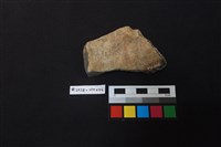 陶片藏品圖，第2張