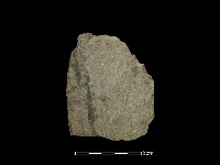 斧鋤形器藏品圖，第2張