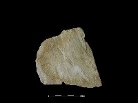 石片器藏品圖，第2張