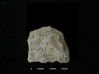 石片器藏品圖，第1張