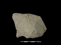 石片藏品圖，第2張