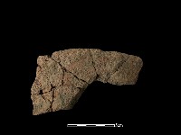 陶片藏品圖，第1張