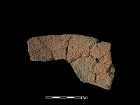 陶片藏品圖，第2張