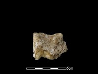 石材藏品圖，第1張