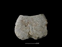 斧鋤形器藏品圖，第2張