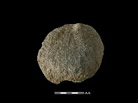 石片器藏品圖，第1張