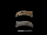 陶環藏品圖，第1張