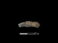 陶環藏品圖，第1張