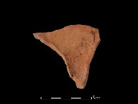 連杯形器藏品圖，第2張