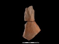 連杯形器藏品圖，第2張