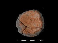 陶罐藏品圖，第1張