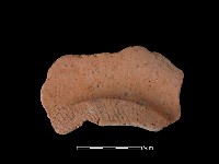 豆形器藏品圖，第2張