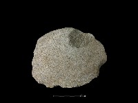 石片藏品圖，第1張