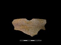 陶罐藏品圖，第1張