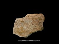 陶罐藏品圖，第1張