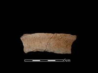 陶罐藏品圖，第1張