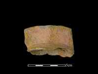 連杯形器藏品圖，第2張