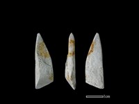 錛鑿形器藏品圖，第1張