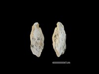 磨製石器藏品圖，第1張