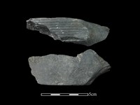 樹皮布打棒藏品圖，第1張