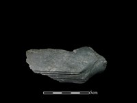 樹皮布打棒藏品圖，第2張