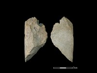 磨製石器藏品圖，第1張