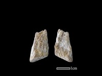 錛鑿形器藏品圖，第1張