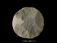 石核藏品圖，第1張