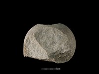 石核藏品圖，第3張