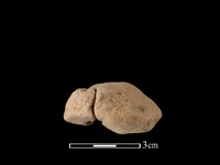 紡輪藏品圖，第2張