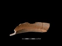 陶罐藏品圖，第2張