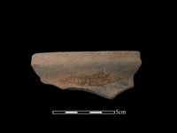 陶罐藏品圖，第1張