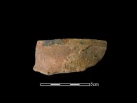 陶罐藏品圖，第1張