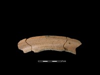 陶盆藏品圖，第1張