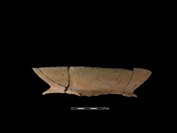 陶罐藏品圖，第1張