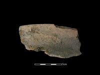 陶罐藏品圖，第1張