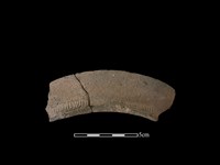 陶罐藏品圖，第1張