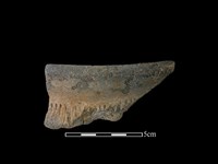 陶罐藏品圖，第1張