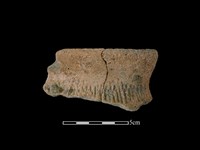 陶罐藏品圖，第1張