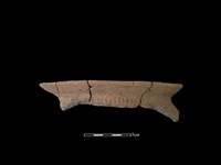 陶罐藏品圖，第1張