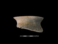 陶罐藏品圖，第1張