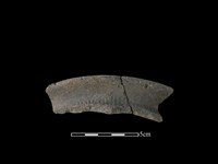 陶罐藏品圖，第1張