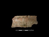 陶罐藏品圖，第1張