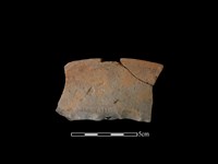 陶罐藏品圖，第1張