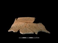 陶罐藏品圖，第1張