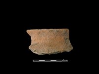 陶罐藏品圖，第1張