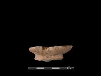 陶盤藏品圖，第2張