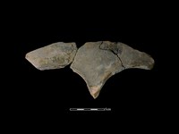 連杯形器藏品圖，第2張