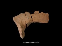 連杯形器藏品圖，第1張