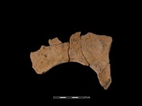 連杯形器藏品圖，第2張